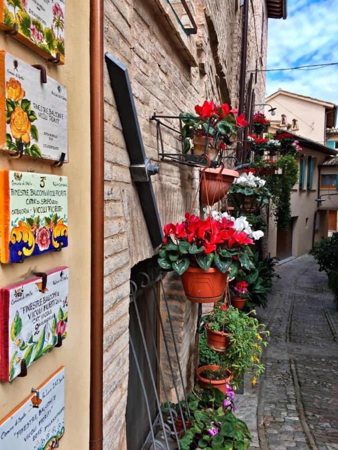 Appartamento Palma Spello Zewnętrze zdjęcie
